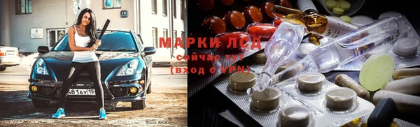 эйфоретик Алзамай
