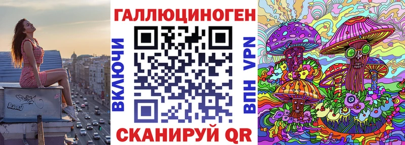 МЕГА как войти  Старая Купавна  Псилоцибиновые грибы MAGIC MUSHROOMS 